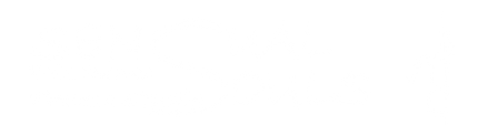 Sensual Souls Pole Dance & Fitness logo